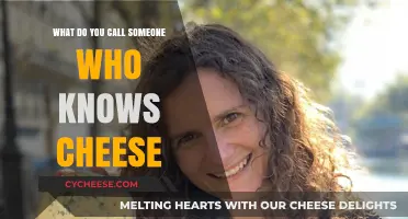 Mastering Cheese Knowledge: What to Call a Cheese Expert