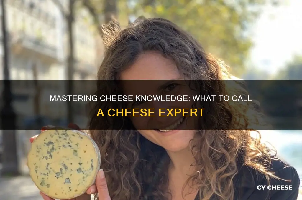 what do you call someone who knows cheese