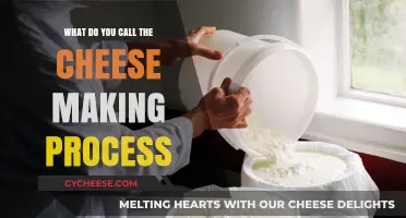 Mastering the Art of Cheese Making: A Step-by-Step Process Guide