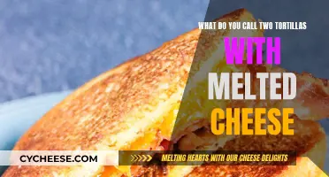 The Ultimate Quesadilla Recipe Guide