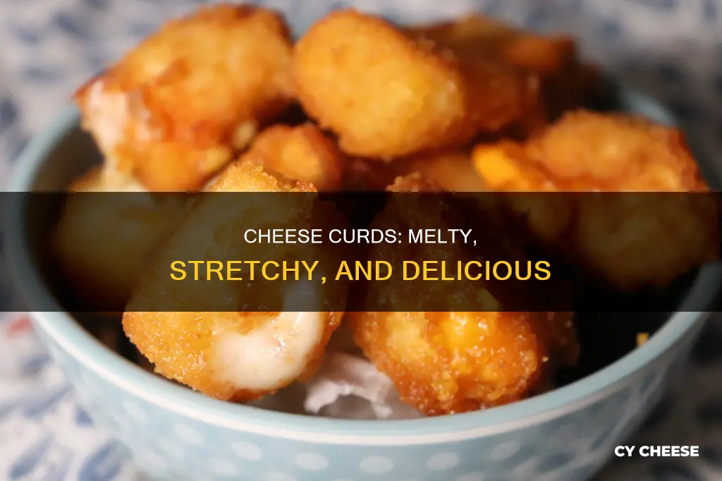 what do you cook with cheese curds