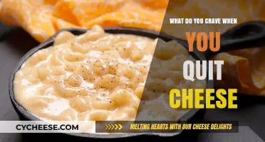 Ditching Dairy: Unraveling Cheese Cravings and Finding Satisfying Alternatives