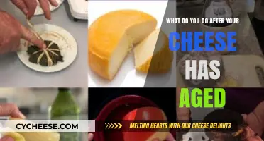Aged Cheese Mastery: Perfect Next Steps for Your Matured Creation