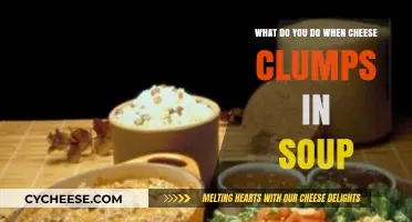 Cheese Clumps in Soup? Quick Fixes to Save Your Dish