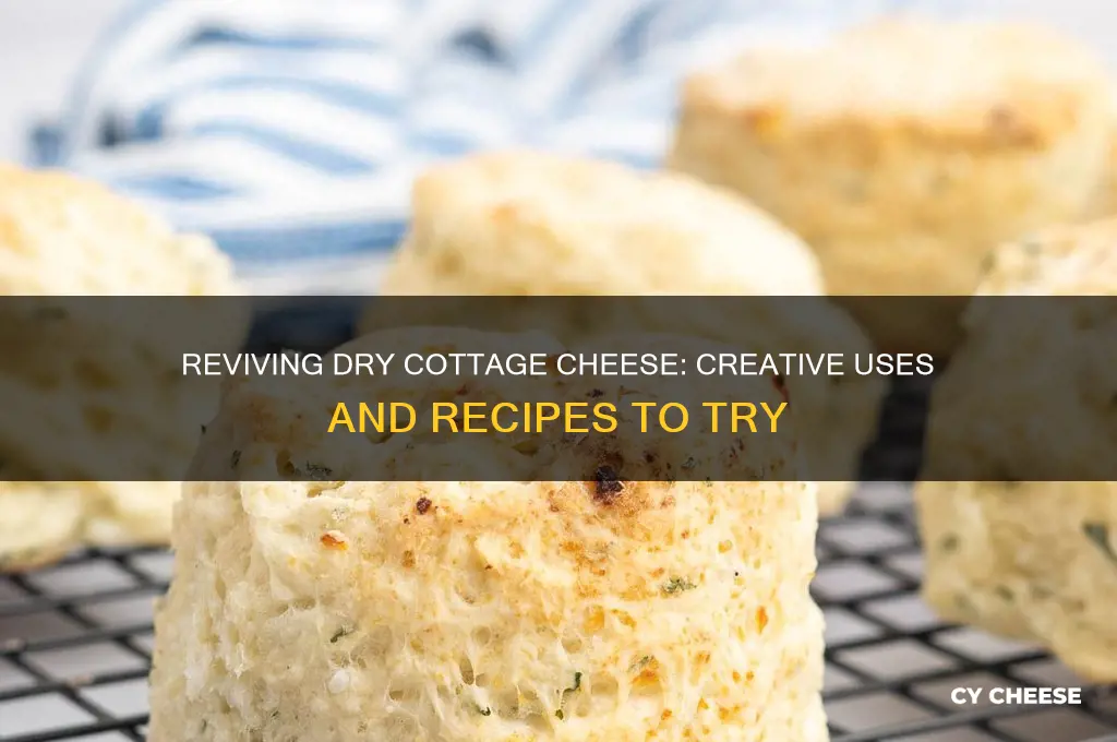 what do you do with dry cottage cheese
