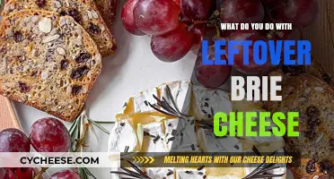 Creative Ways to Use Leftover Brie Cheese in Delicious Recipes