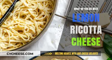 Creative Ways to Use Lemon Ricotta Cheese in Your Cooking