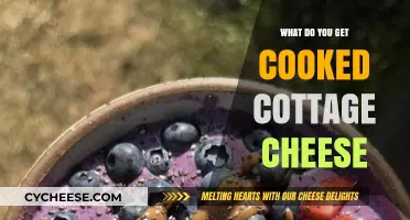 Delicious Cottage Cheese Recipes: What to Cook with This Versatile Ingredient