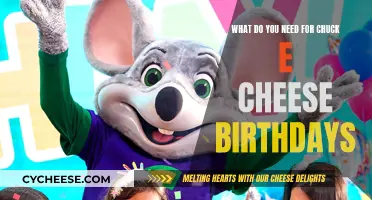 Chuck E Cheese Birthday Essentials for a Fun Party