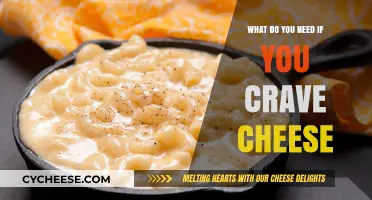 Cheese Cravings Decoded: Essential Tips to Satisfy Your Cheesy Desires