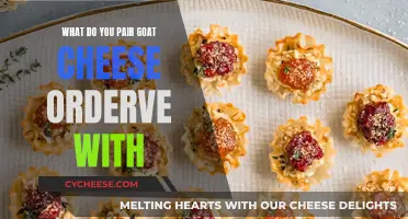 Goat Cheese Appetizers: Perfect Pairing Ideas for Your Next Party