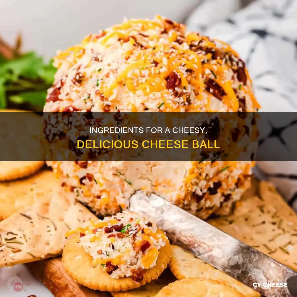 what do you put in a cheese ball