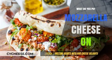 Mozzarella Magic: Enhancing Your Favorite Dishes