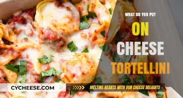 Cheese Tortellini: Toppings and Fillings to Try
