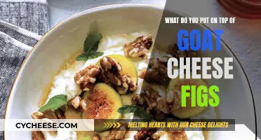 Goat Cheese and Fig Appetizer: Topping Ideas