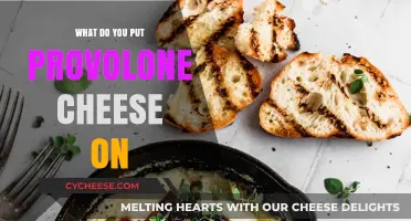 Provolone Cheese: Best Food Pairings
