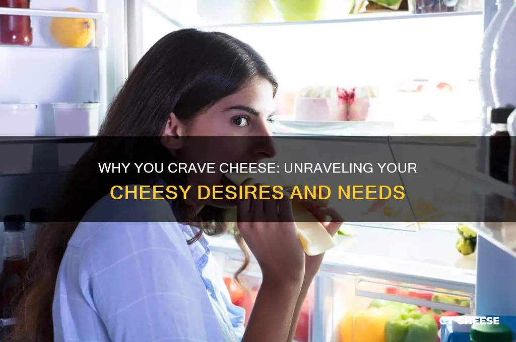 what do you really want of you crave cheese