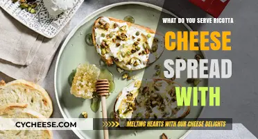 Ricotta Cheese Spread: Best Food Pairings
