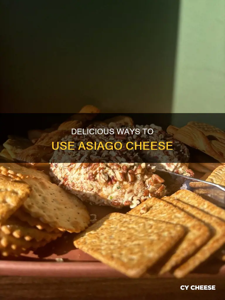 what do you use asiago cheese for