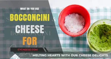 Bocconcini Cheese: Best Uses and Recipes