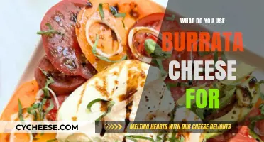 Burrata Cheese: The Ultimate Guide to Uses and Applications