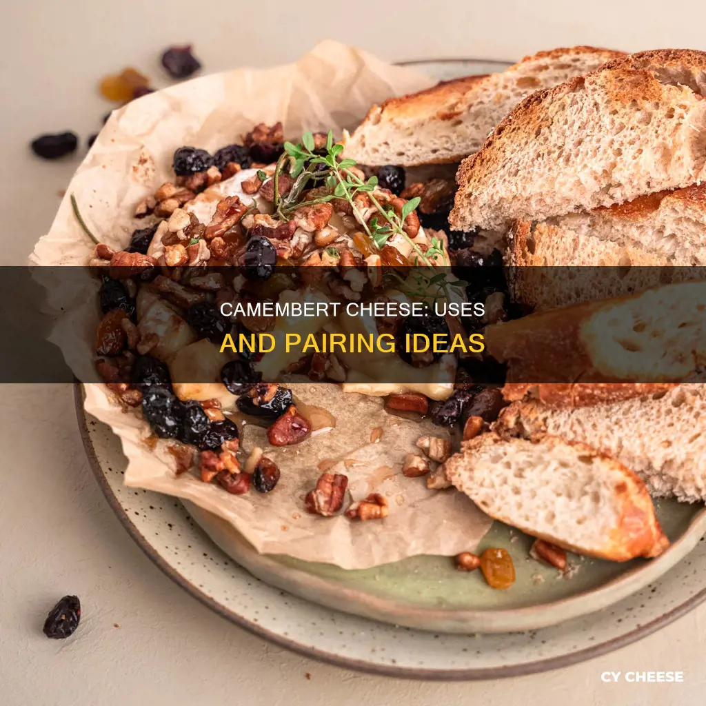 what do you use camembert cheese for