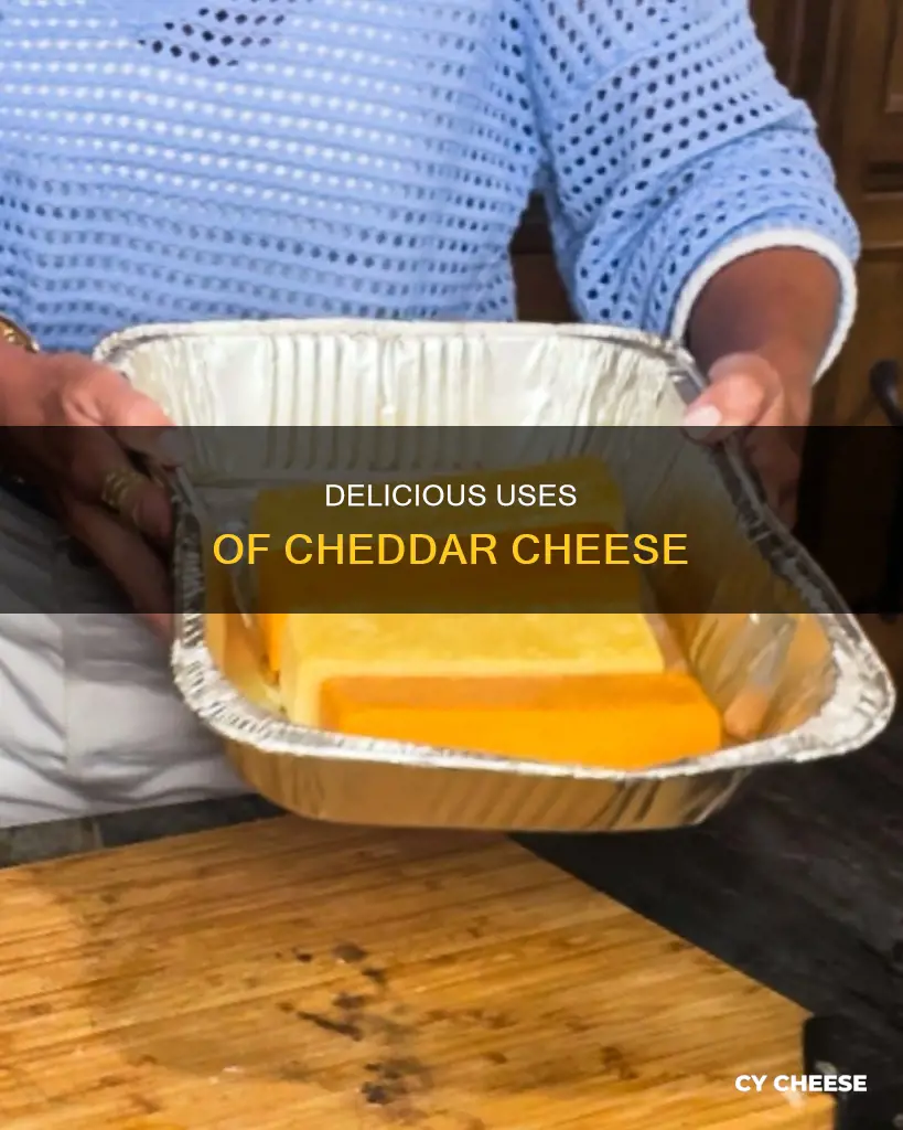 what do you use cheddar cheese for
