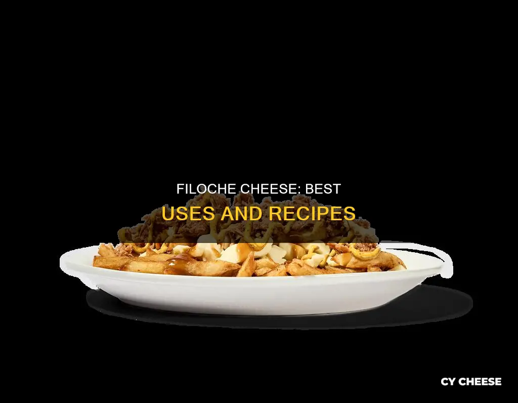 what do you use filoche cheese in