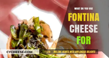 Fontina Cheese: Melting Magic for Your Meals