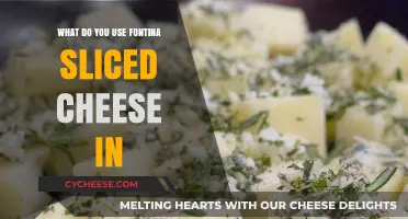 Fontina Cheese: Melty Magic in Your Meals