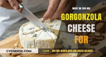 Gorgonzola Cheese: Perfect for Your Next Dish