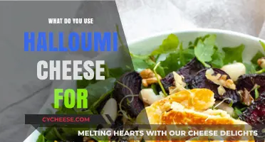 The Versatile Halloumi: Creative Uses and Recipes