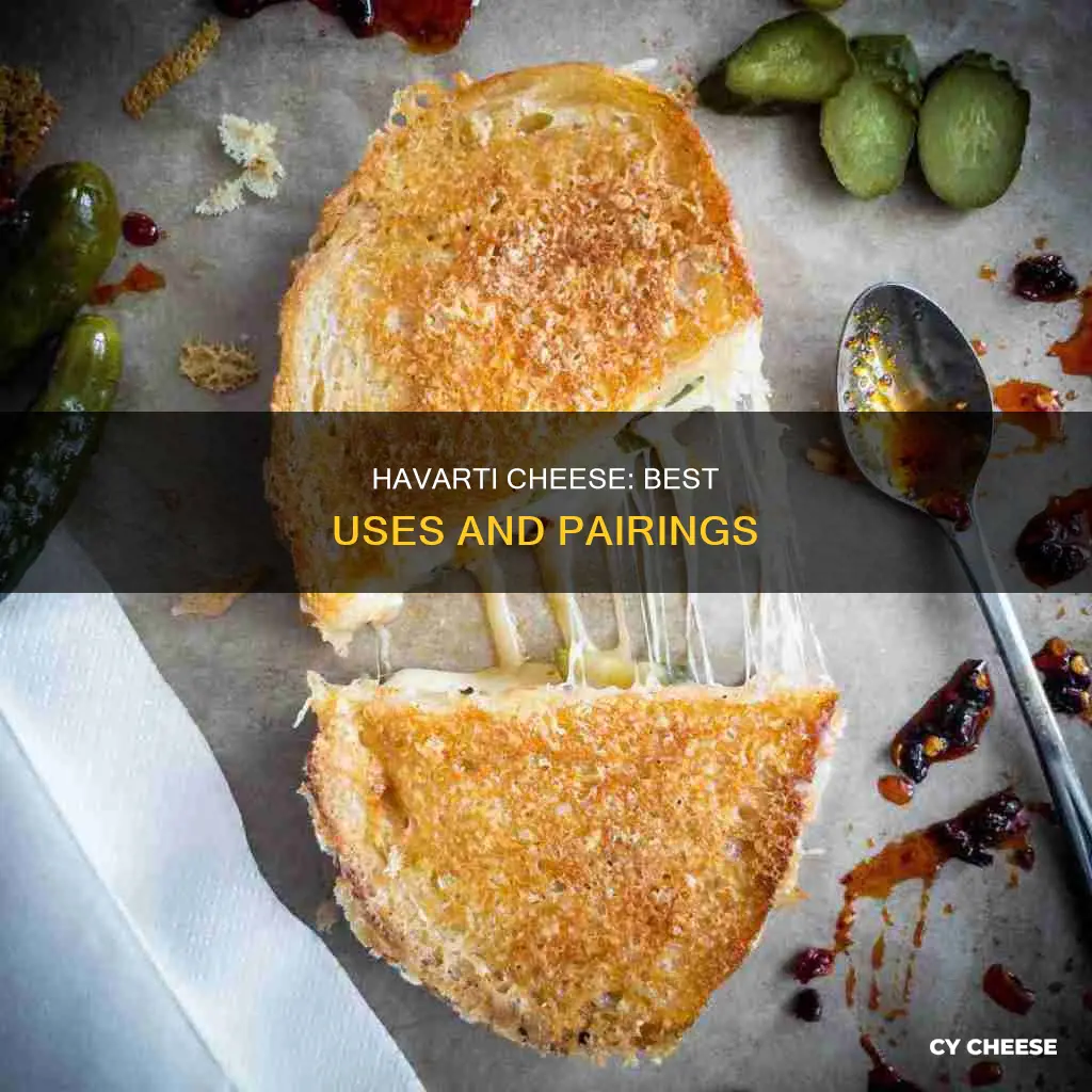 what do you use havarti cheese for