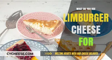 Limburger Cheese: A Stinky Delight for Your Palate