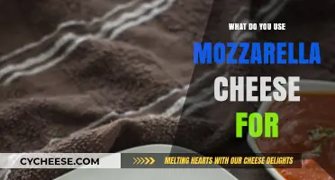 The Versatile Mozzarella: Uses and Applications