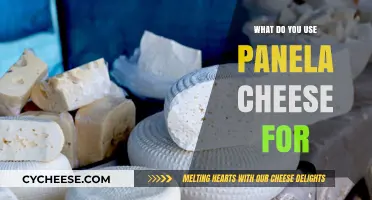 Panela Cheese: Uses and Benefits