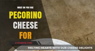 Pecorino Cheese: A Versatile Ingredient for Delicious Meals