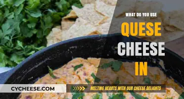 Delicious Queso Cheese Recipes and Ideas