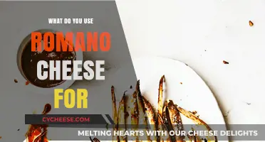 Romano Cheese: A Versatile Kitchen Staple