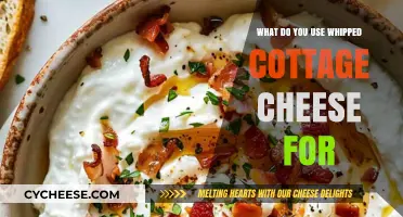 Creative Uses for Whipped Cottage Cheese: Delicious Recipes and Ideas