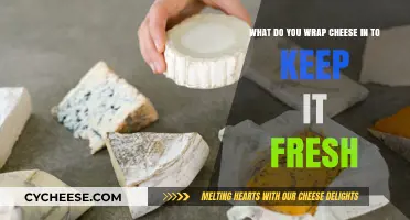 Best Cheese Wrapping Tips: Keep Your Cheese Fresh and Flavorful