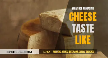 Unraveling the Unique Taste of Parmesan Cheese