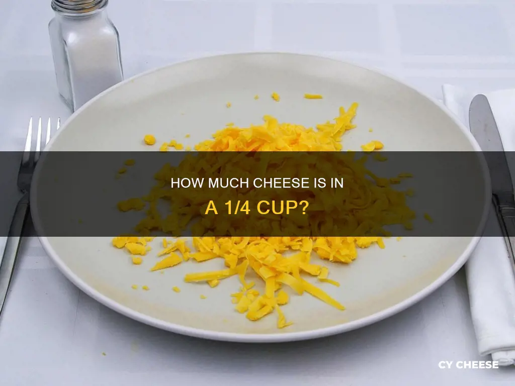 what does 1 4 cup of cheese look like