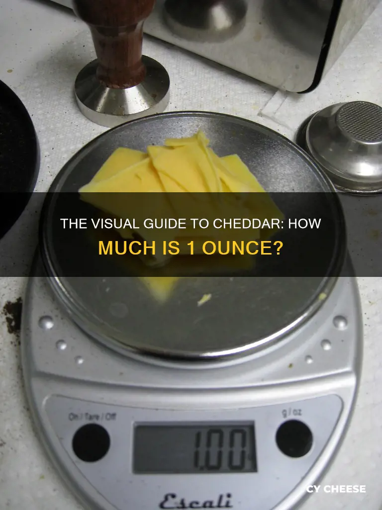 what does 1 ounce of cheddar cheese look like