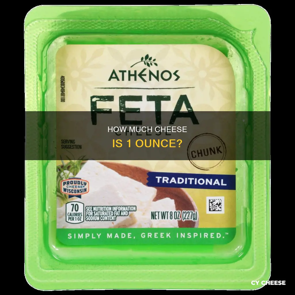 what does 1 oz of block cheese look like