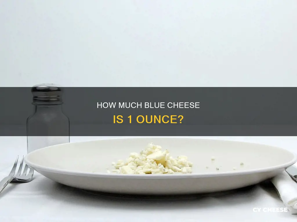 what does 1 oz of blue cheese look like