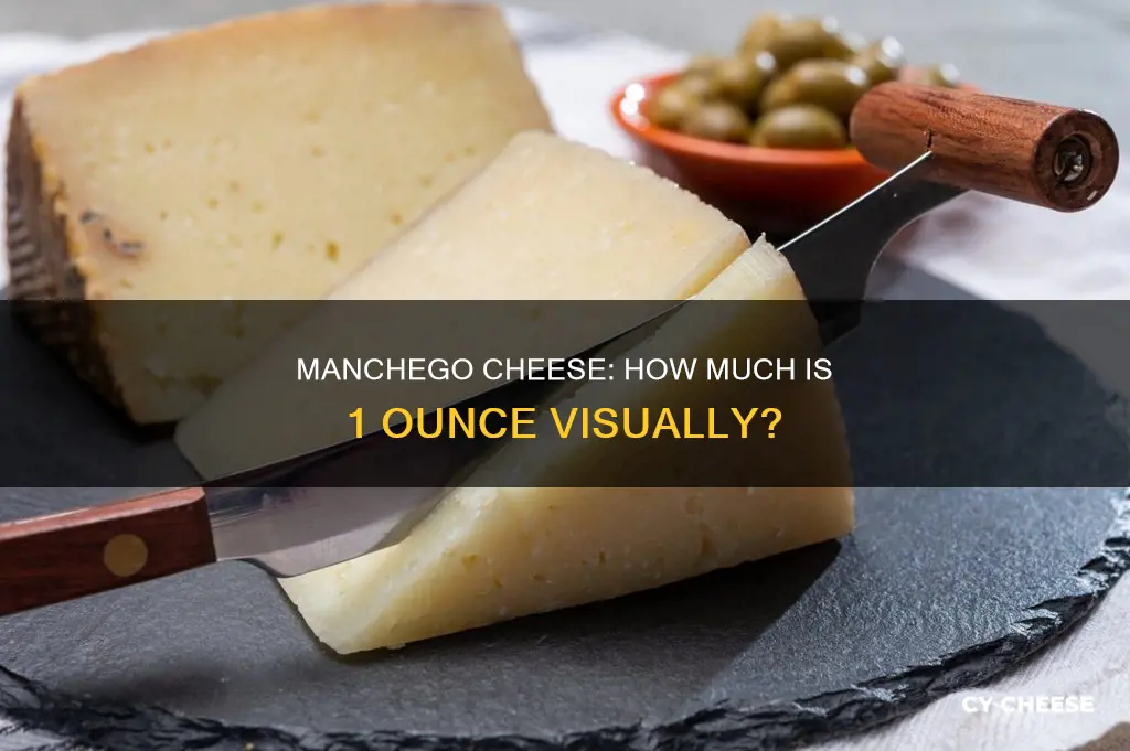 what does 1 oz of manchego cheese look like