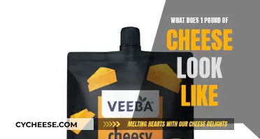 Cheese Portion Guide: 1 Pound of Cheese Visualized