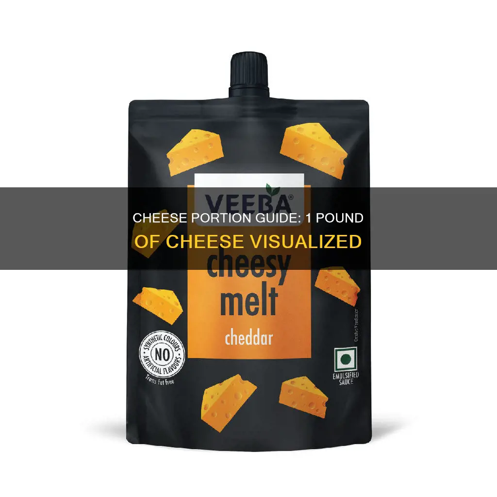 what does 1 pound of cheese look like