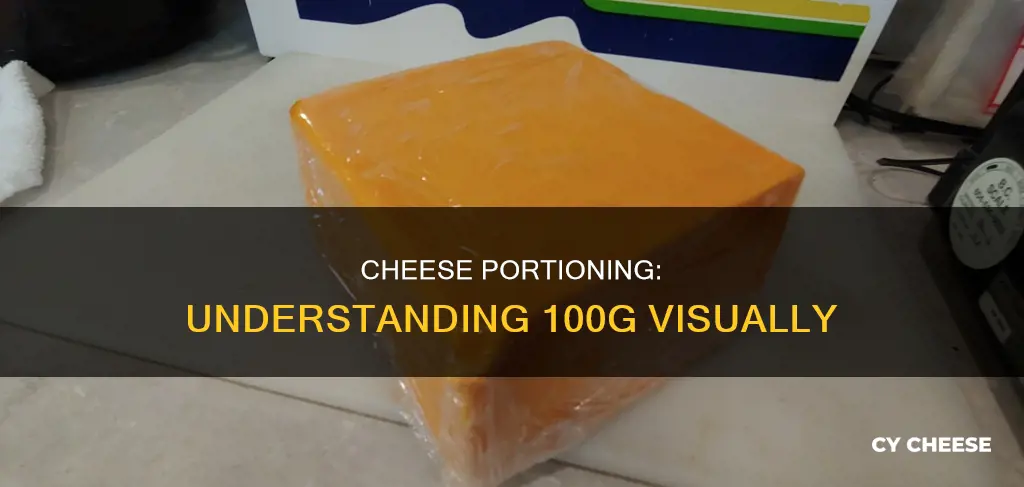 what does 100 g of cheese look like